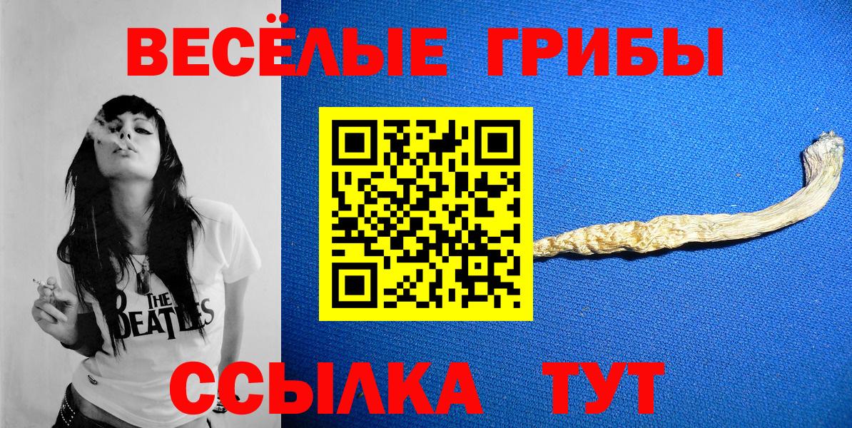 Галлюциногенные грибы GOLDEN TEACHER Малоярославец